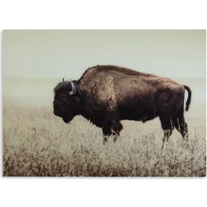 The appearance of Brutus Sepia Wall Art designed by Signature Design by Ashley in the interior design. This piece of furniture was selected by 1StopBedrooms from to add a touch of cosiness and style into your home. Sku: ASL-A8000289.