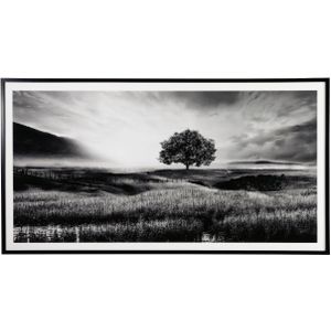 The appearance of Deborland Black And White Wall Art designed by Signature Design by Ashley in the interior design. This piece of furniture was selected by 1StopBedrooms from to add a touch of cosiness and style into your home. Sku: ASL-A8000341.