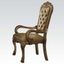 Acme Dresden Arm Chair in Gold Patina (Set of 2)