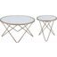 Valora Champagne and Frosted Glass Occasional Table Set