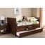 Baxton Studio Linna Modern And Contemporary Walnut Brown-Finished Daybed With Trundle