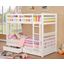 Furniture of America California IV White Twin over Twin Bunk Bed