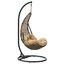 Abate Black Mocha Outdoor Patio Swing Chair With Stand