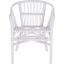 Adriana Rattan Accent Chair in White