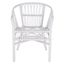 Adriana Rattan Accent Chair Set of 2 in White