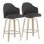 Ahoy Counter Stool Set of 2 In Charcoal