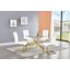 Alison 5 Piece Modern Glass Top Dinette Set In White And Gold