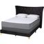 Baxton Studio Easton Contemporary Glam And Luxe Black Velvet And Gold Metal Queen Size Panel Bed