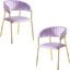 Bellai 18 Inch Velour Fabric Dining Chair Set of 2 In Pink