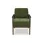 Bixler Showood Accent Chair In Olive