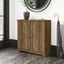 Bush Furniture Cabot Small Entryway Cabinet with Doors in Reclaimed Pine