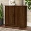 Bush Furniture Cabot Small Storage Cabinet with Doors in Modern Walnut