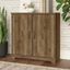 Bush Furniture Cabot Small Storage Cabinet with Doors in Reclaimed Pine Wc31598