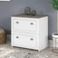 Bush Furniture Fairview 2 Drawer Lateral File Cabinet In Pure White And Shiplap Gray
