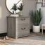 Bush Furniture Homestead Farmhouse 2 Drawer Accent Cabinet in Driftwood Gray