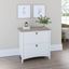 Bush Furniture Salinas 2 Drawer Lateral File Cabinet in Pure White and Shiplap Gray