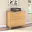 Bush Furniture Somerset 2 Drawer Lateral File Cabinet in Maple Cross