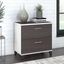 Bush Furniture Somerset 2 Drawer Lateral File Cabinet in White and Storm Gray