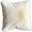 Caparica 20 X 20 Pillow In Off White