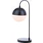 Cappi Black 20.5 Inch Table Lamp