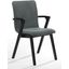 Cara Arm Chair Set Of 2 In Dark Grey