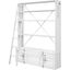 Cargo Youth Bookshelf w/ Ladder (White)