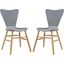 Cascade Gray Dining Chair Set of 2