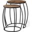 Clapp Iii Brown Round Wood Top With Black Metal Frame Nesting Accent Tables Set of 2