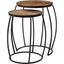 Clapp Iv Brown Round Wood Top With Black Iron Frame Nesting Accent Tables Set of 2