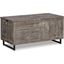 Coltport Distressed Gray Storage Trunk