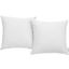 Convene White Two Piece Outdoor Patio Pillow Set