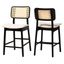 Dannon Wood Counter Stool Set of 2 In Cream and Black