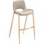 Desi Barstool Set of 2 In Beige And Gold