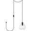 Destry 1 Light Black Plug-In Pendant With Clear Glass LDPG2245BK