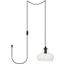 Destry 1 Light Black Plug-In Pendant With Clear Glass LDPG2246BK