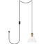 Destry 1 Light Brass Plug-In Pendant With Clear Glass LDPG2244BR