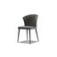 Ariel Dining Chair Set of 2 In Graphite Velvet And Black Powder Coated Legs