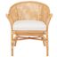 Dustin Rattan Accent Chair with Cushion in Natural and White