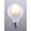 E26 G80 6W 110X80mm Led Light Bulb In Frosted White