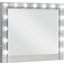 Eleanor Rectangular Dresser Mirror with Light In Metallic