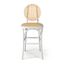 Ellen Counter Height Stool with Natural Cane In White