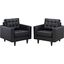 Empress Black Arm Chair Leather Set of 2 EEI-1282-BLK