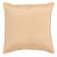 Erna Pillow in Champagne