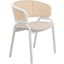 Ervilla Dining Chair with Steel Legs and Wicker Back In Beige