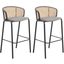 Ervilla Wicker Bar Stool Set of 2 with Fabric Seat and Black Steel Frame In Grey