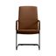 Evander Office Guest Chair In Dark Brown Leather