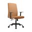 Evander Series Office Guest Chair In Acorn Brown Leather