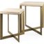 Faye Barely Gray Finished Wood With Gold Metal Base Accent Tables Set of 2