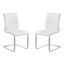 Fusion Contemporary Side Chair Set of 2 In White and Stainless Steel