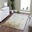 Fuzzy Shaggy Hand Tufted Area Rug In Beige (2-Ft X 3-Ft)